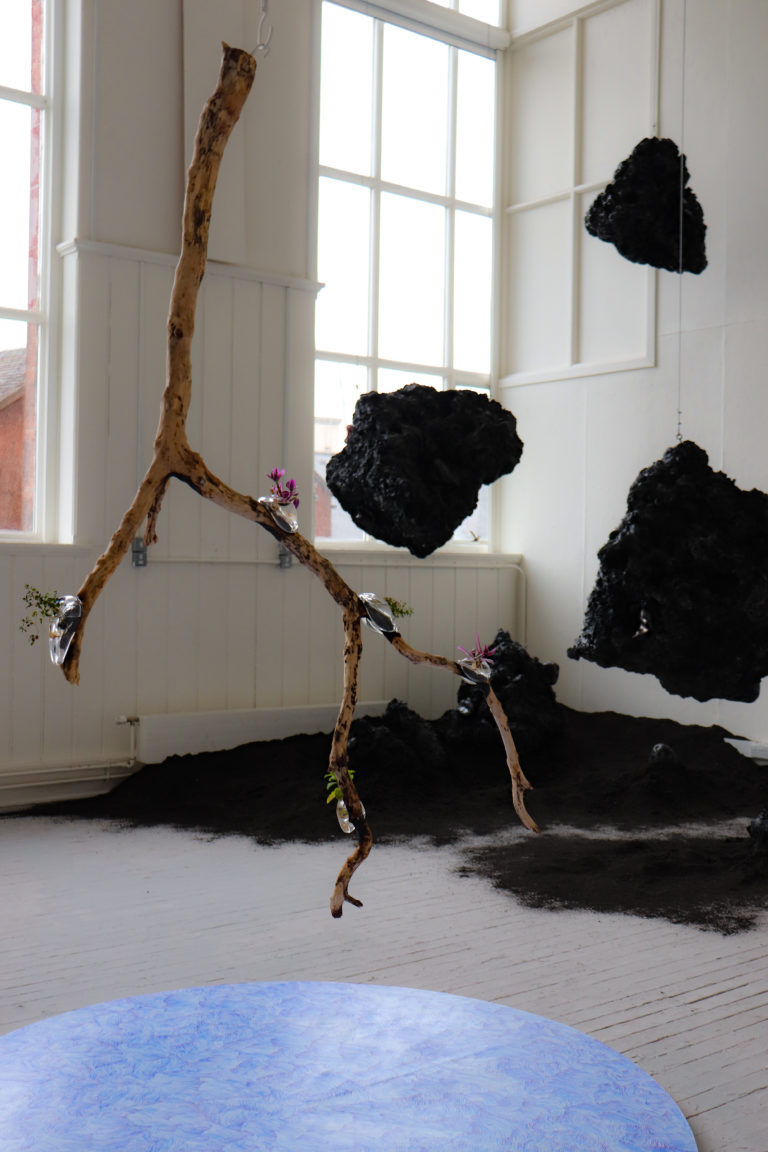 garden of the void 1